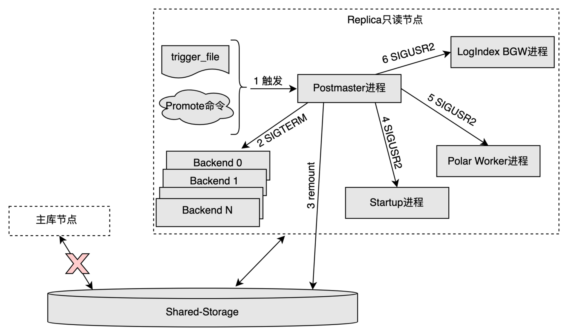 Postmaster Process